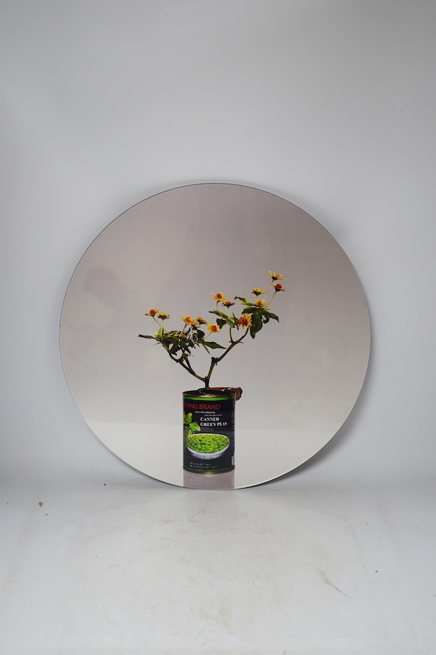 Edwin Roseno (Indonesian, b.1979), contemporary metallic photo print on plexiglass, green hypermarket series, Bunga Matahari Kecil Mini Sunflower, limited edition 5/5, with certificate of authenticity, signed by the arti